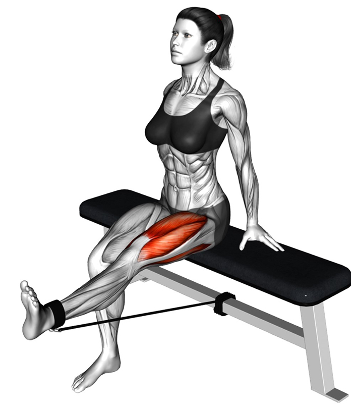 Extension de la cuisse avec élastique : un exercice ciblé pour les quadriceps - Fin