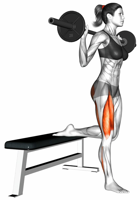 Split Squat avec barre droite : un exercice complet pour les cuisses et les fessiers - Début