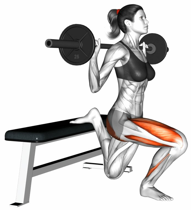 Split Squat avec barre droite : un exercice complet pour les cuisses et les fessiers - Fin