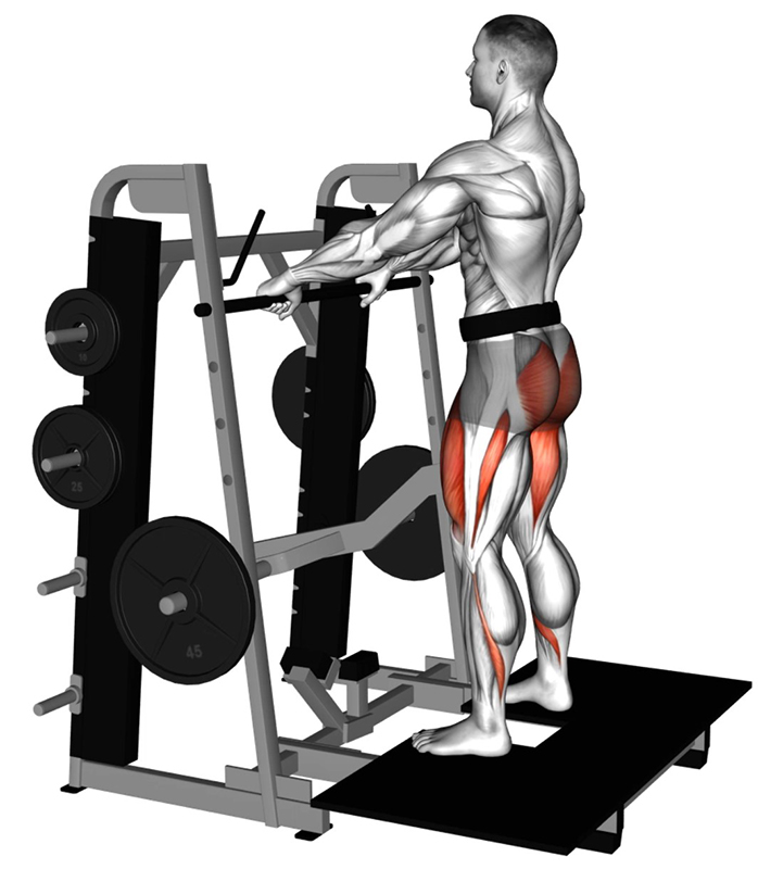 Flexion des cuisses au Lever Belt Squat - Début