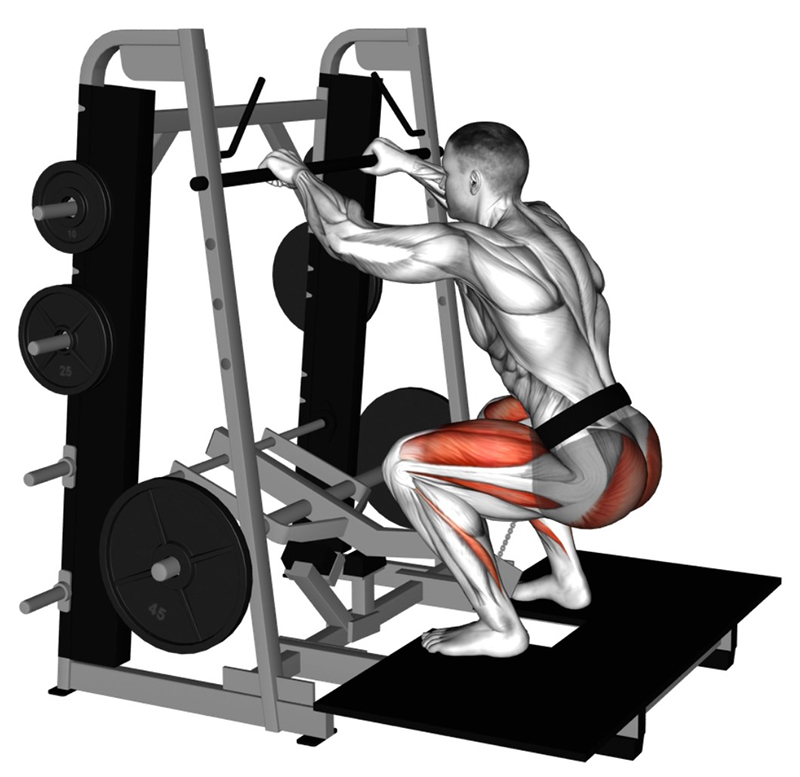 Flexion des cuisses au Lever Belt Squat - Fin