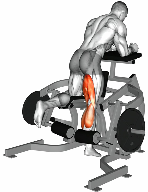 Flexion unilatérale de la cuisse sur machine ischio-jambiers debout – Travail des cuisses - Fin