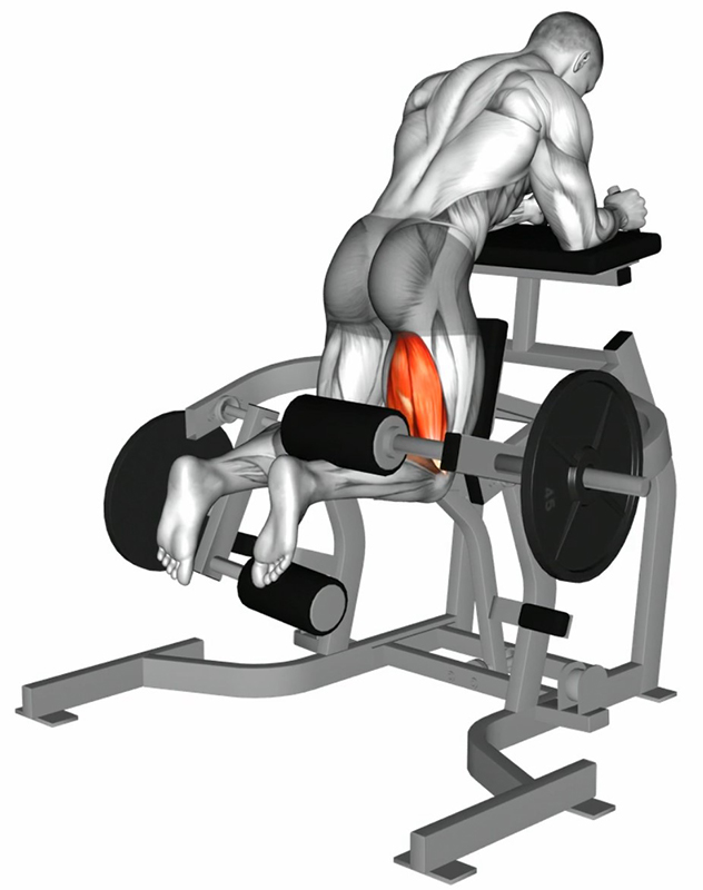 Flexion unilatérale de la cuisse sur machine ischio-jambiers debout – Travail des cuisses - Début