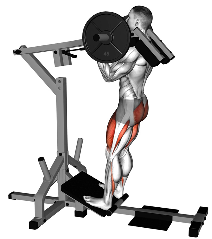 Squat sur machine à levier convergente – Travail des cuisses - Début