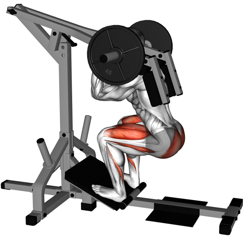 Squat sur machine à levier convergente – Travail des cuisses - Fin