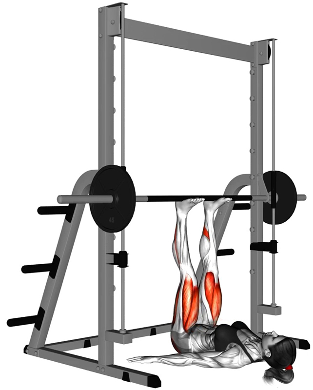 Flexion des cuisses à la Smith Machine – Travail des cuisses - Début