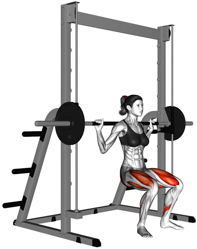 Flexion des cuisses à la Smith Machine – Travail des quadriceps - Fin