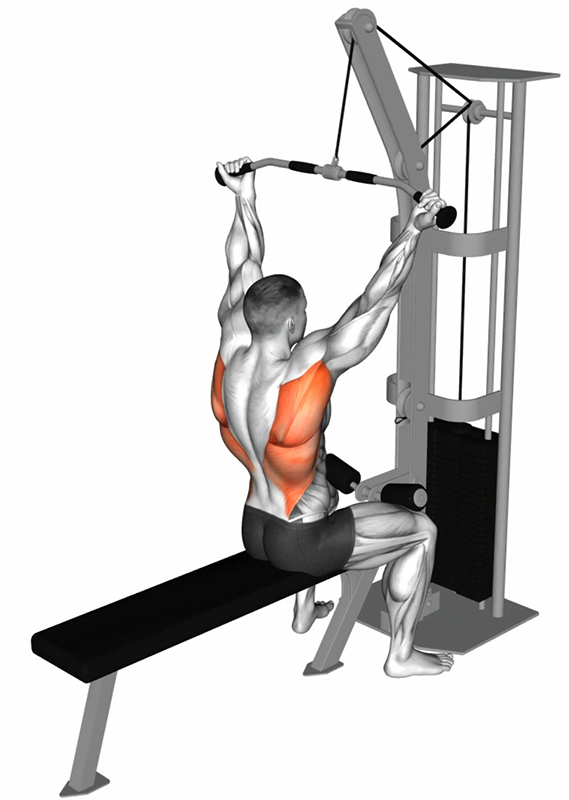 Tirage vertical avant à la lat machine en supination : un exercice clé pour le dos et les biceps - Début