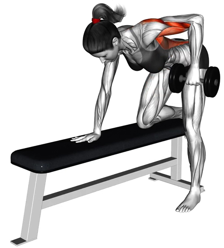 Rowing avec Haltère – Travail des Muscles Dorsaux - Fin