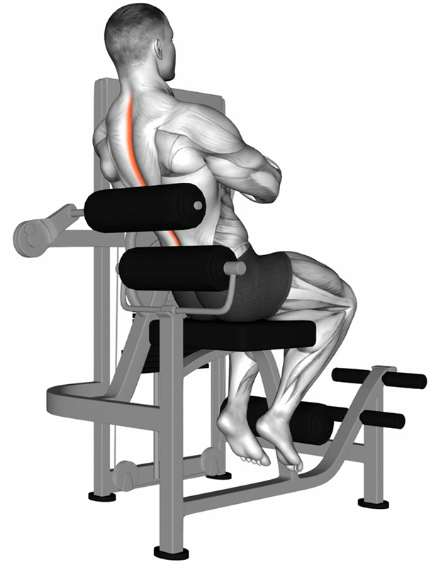Extension du dos sur back lower machine : renforcement ciblé des muscles lombaires - Fin