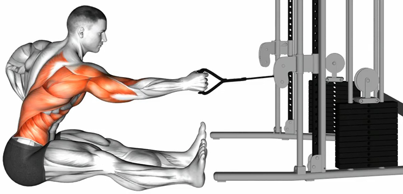 Rowing unilatéral au sol avec poulie basse et poignée simple – Travail des dorsaux - Début