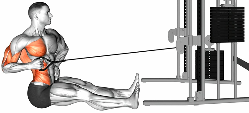 Rowing unilatéral au sol avec poulie basse et poignée simple – Travail des dorsaux - Fin