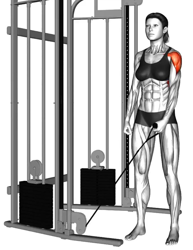 Élévation unilatérale à la poulie basse – Travail des muscles des épaules - Début