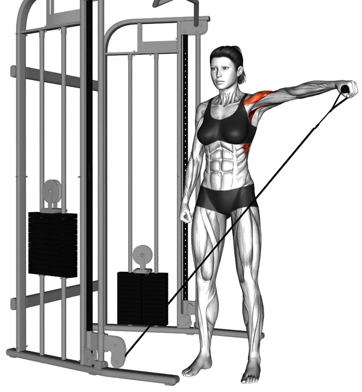 Élévation unilatérale à la poulie basse – Travail des muscles des épaules - Fin