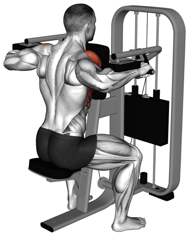 Élévations latérales des bras à la machine – Travail des muscles des épaules - Fin