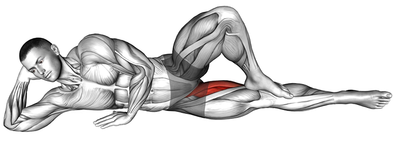 Adduction de la cuisse au sol : travail des muscles adducteurs - Début