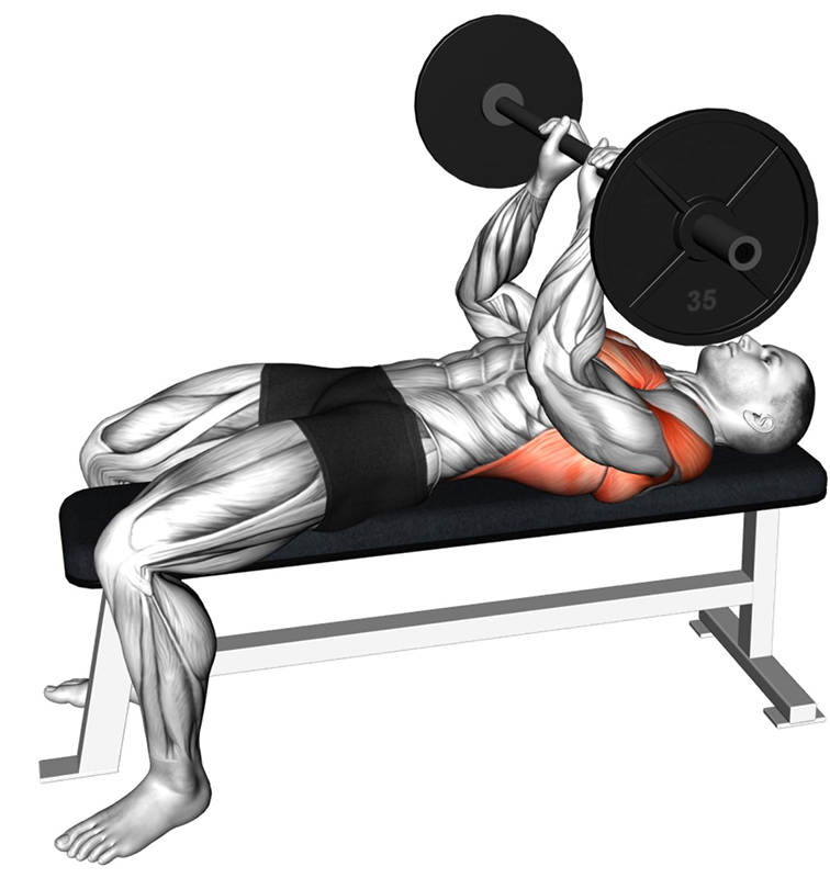 Pull-over avec barre droite - Début