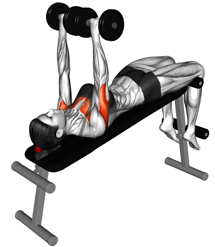 Développé couché incliné avec haltères : un exercice fondamental pour les pectoraux - Début