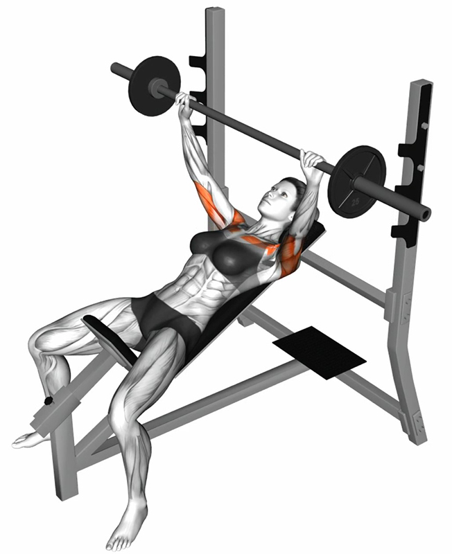 Développé incliné avec barre olympique pour le travail des pectoraux - Début