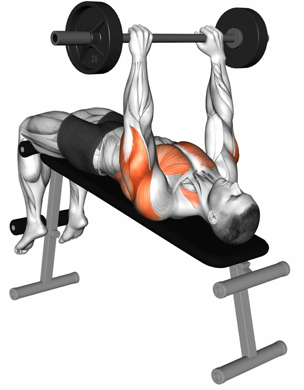 Pull-over à la barre droite sur banc décliné : un exercice complet pour les pectoraux - Début
