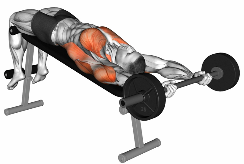 Pull-over à la barre droite sur banc décliné : un exercice complet pour les pectoraux - Fin