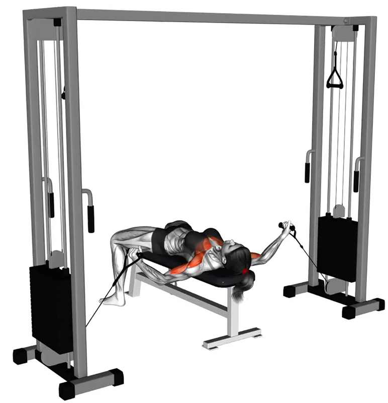 Écartés latéraux à la poulie vis-à-vis basse sur banc plat : un exercice fondamental pour les pectoraux - Début