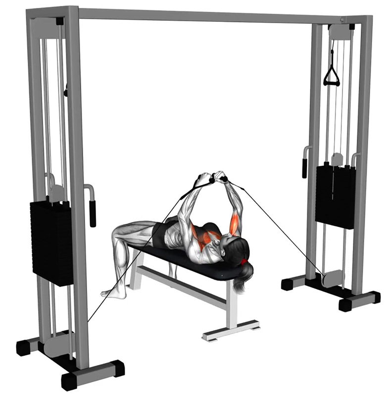 Écartés latéraux à la poulie vis-à-vis basse sur banc plat : un exercice fondamental pour les pectoraux - Fin