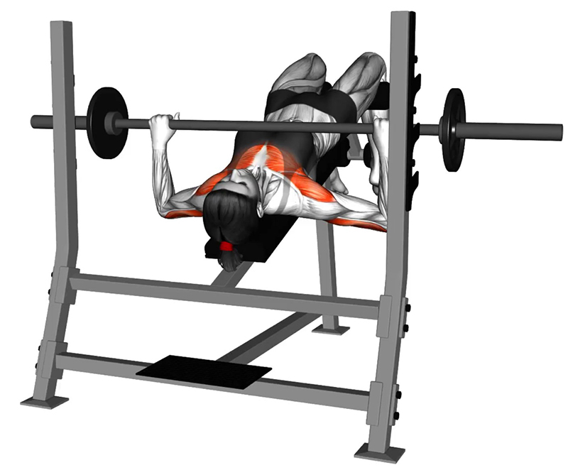 Développé couché décliné avec barre olympique : travail des muscles pectoraux - Début