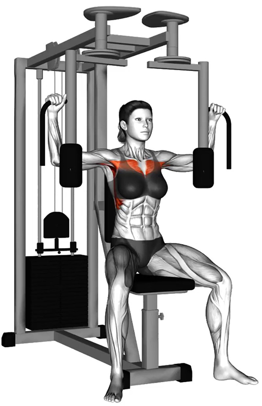 Écartés latéraux à la machine Butterfly - Début