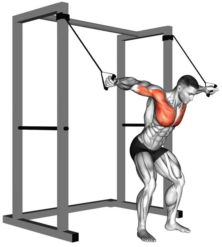 Écartés latéraux debout avec élastique – Travail des pectoraux - Début