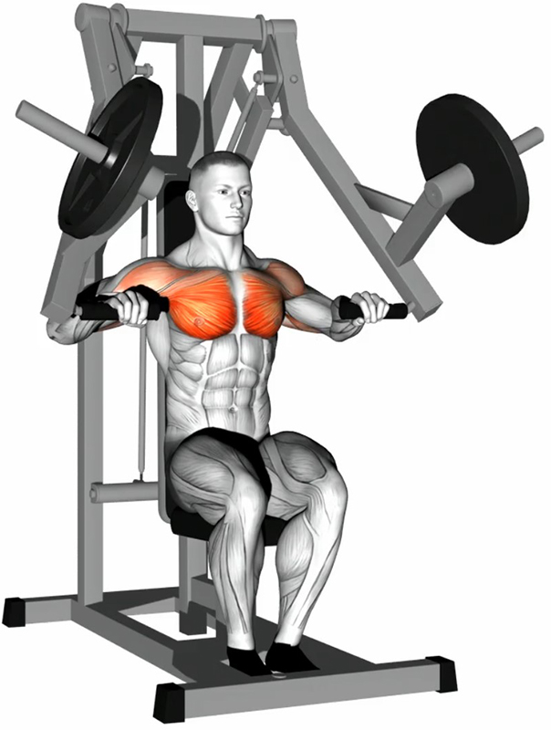 Développé assis à la machine – Pec Deck : travail des pectoraux - Début