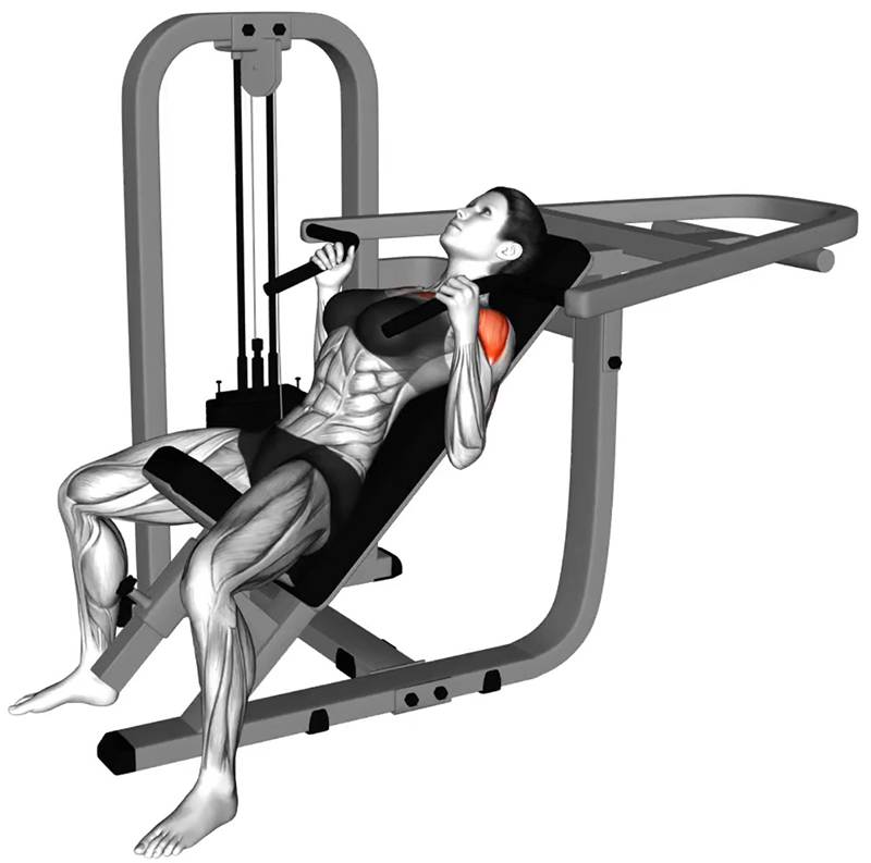 Développé incliné sur machine convergente : un exercice ciblé pour le renforcement des pectoraux supérieurs - Début