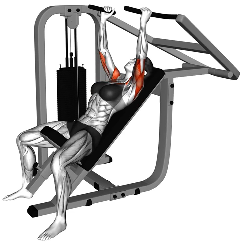 Développé incliné sur machine convergente : un exercice ciblé pour le renforcement des pectoraux supérieurs - Fin